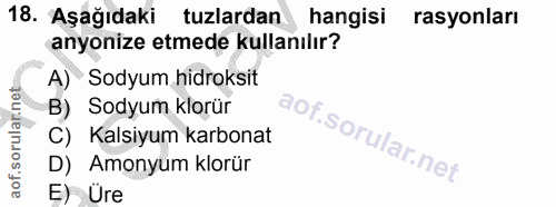 Soru 18