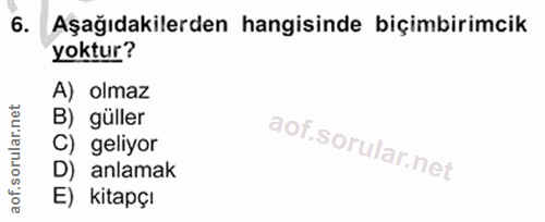 Soru 6
