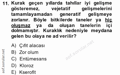 Soru 11