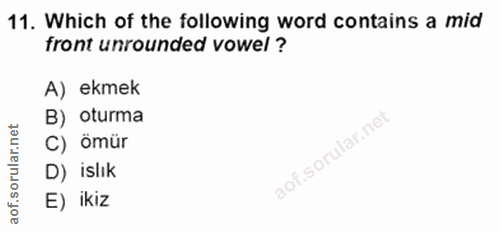 Soru 11