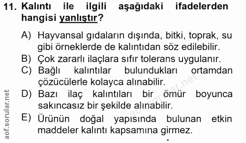 Soru 11
