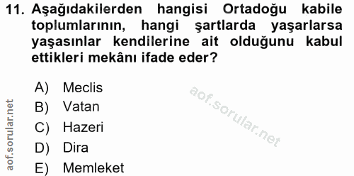Soru 11