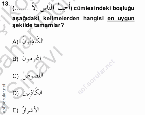 Soru 13