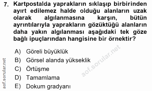Soru 7