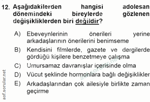 Soru 12