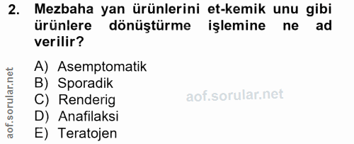 Soru 2