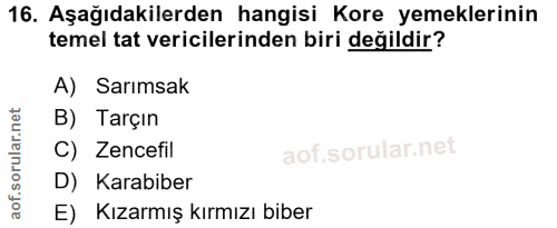 Soru 16