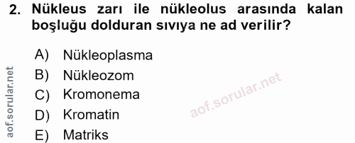 Soru 2