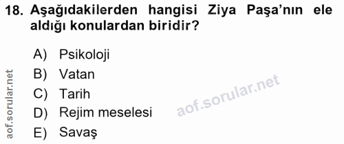 Soru 18