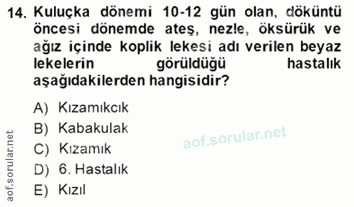 Soru 14