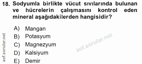 Soru 18