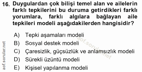 Soru 16