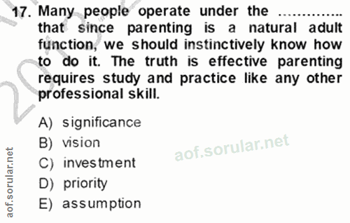 Soru 17