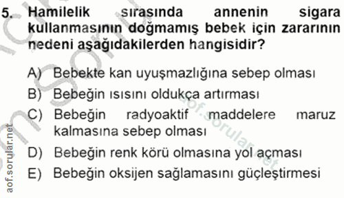 Soru 5