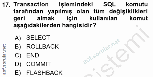 Soru 17