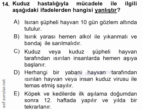 Soru 14