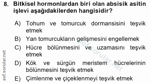 Soru 8