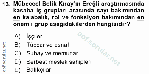 Soru 13
