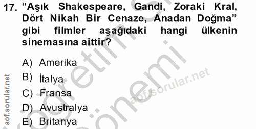 Soru 17