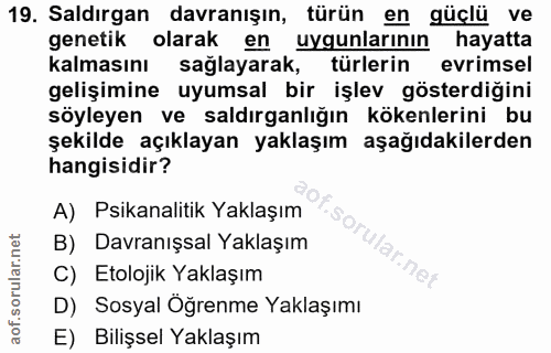 Soru 19