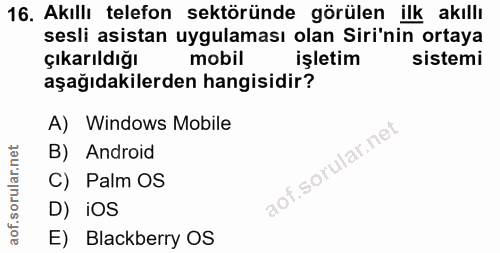 Soru 16