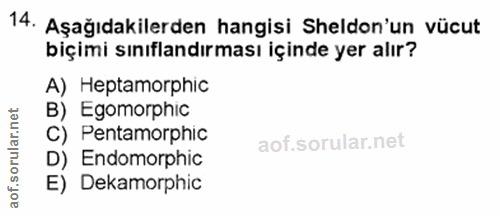 Soru 14