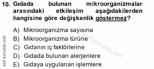 Soru 10