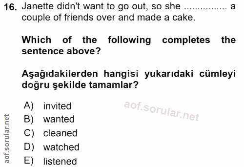 Soru 16