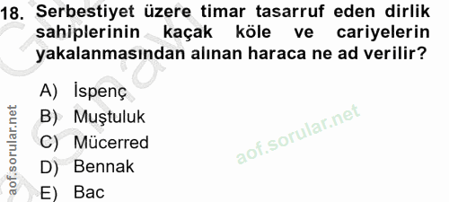 Soru 18