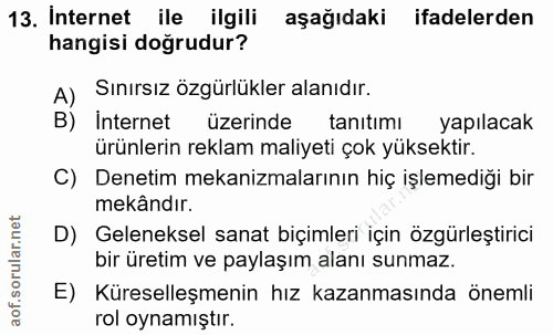 Soru 13