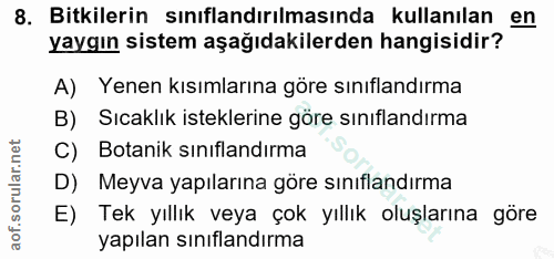 Soru 8