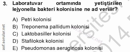 Soru 3