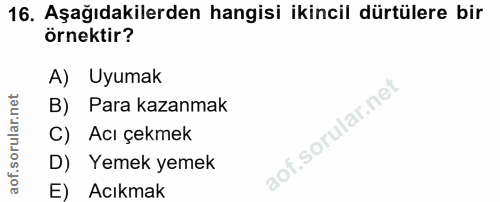 Soru 16