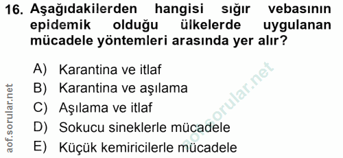 Soru 16