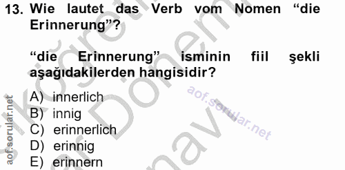 Soru 13
