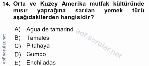 Soru 14