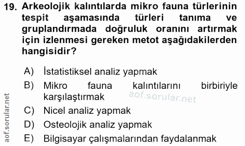 Soru 19