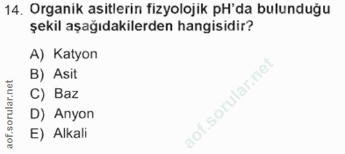 Soru 14