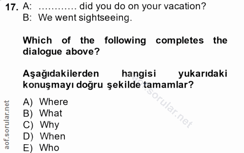 Soru 17