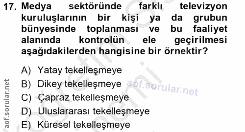 Soru 17