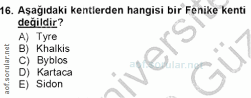 Soru 16