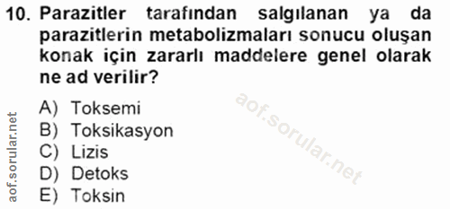Soru 10
