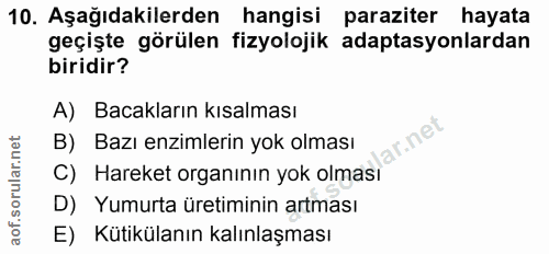 Soru 10