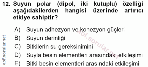 Soru 12