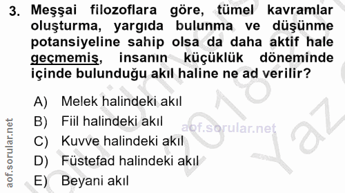 Soru 3