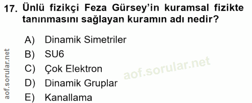 Soru 17