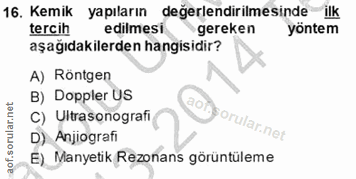 Soru 16