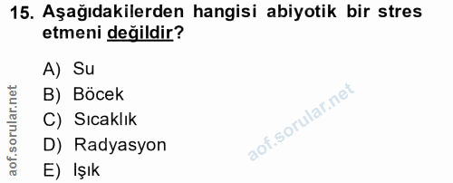 Soru 15