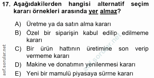 Soru 17