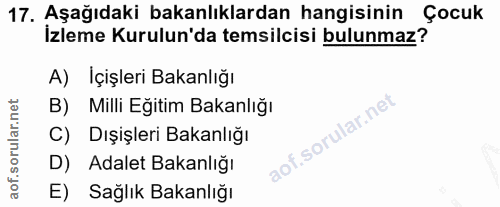 Soru 17